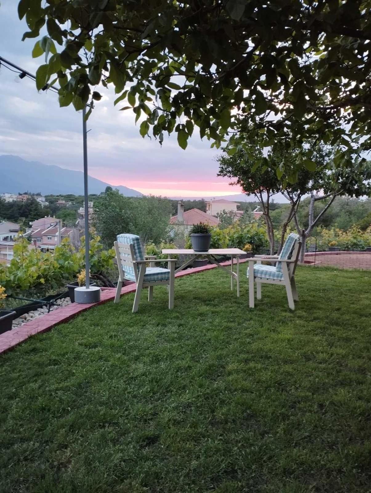 Hill House Daire Kavala Dış mekan fotoğraf